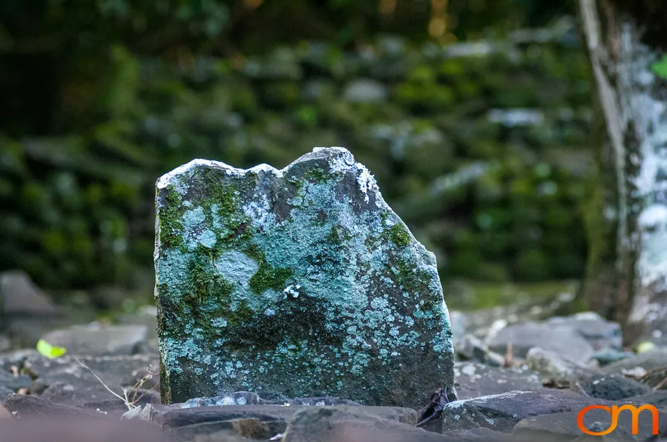 Moʻorea: Volcanic Peaks and Ancient Marae