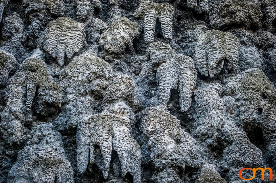 The Dripstone Wall in Prague’s Wallenstein Garden