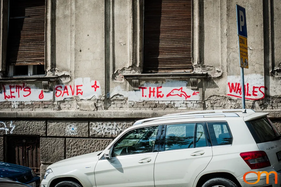 Belgrade Street Art: The Colorful White City