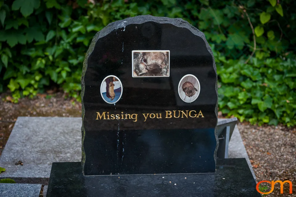 Cimetière des Chiens: The Pet Cemetery of Asnières-sur-Seine