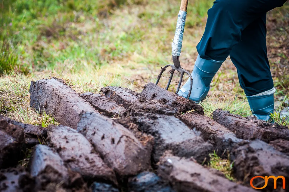 Islay Whisky: Peat and Distillation
