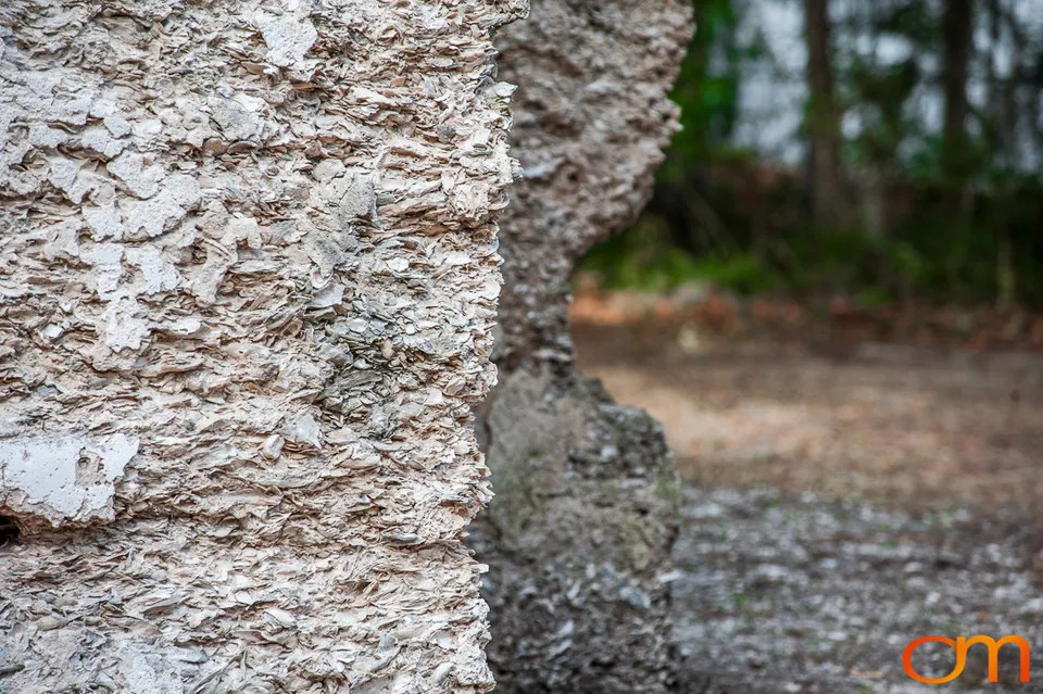 St. Helena Parish Chapel of Ease Ruins