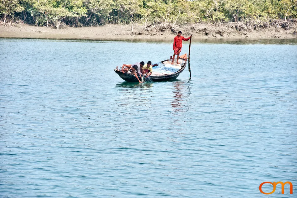 The Indian Sundarbans: Mangrove Forests and Tidal Islands