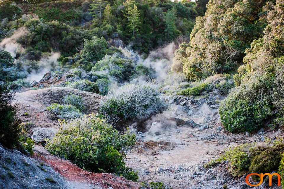 Geothermal Activity in Rotorua and the Taupō Volcanic Zone