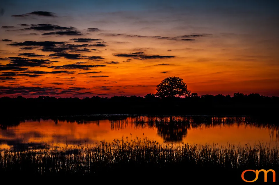 Okavango Delta, Botswana