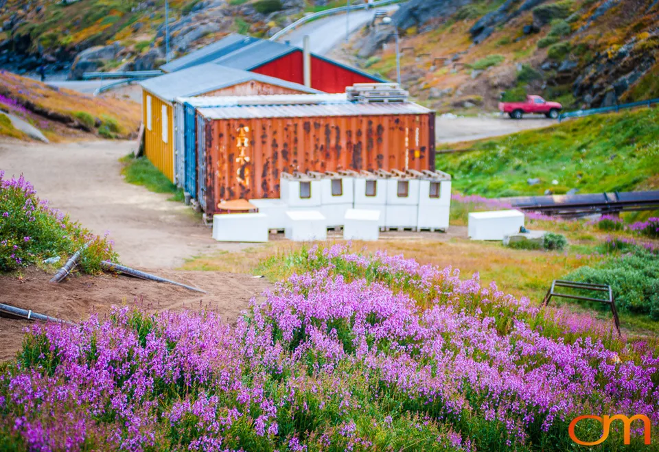 Village of Color: Tasiilaq, Greenland