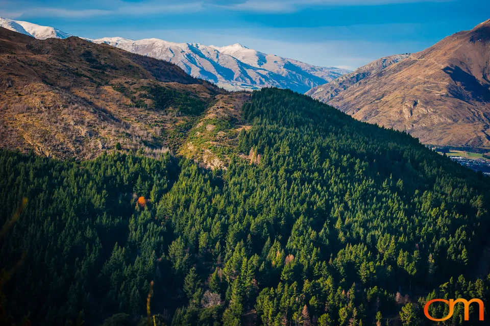 Queenstown | Tāhuna and Lake Whakatipu