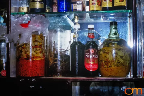 Rượu Thuốc: Medicinal Liquor in Vietnam