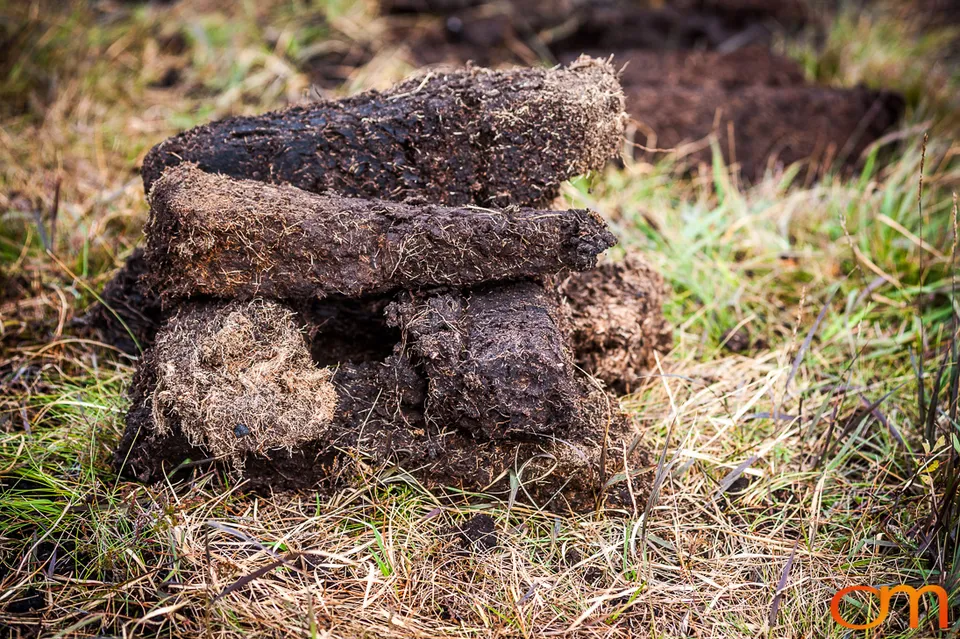 Islay Whisky: Peat and Distillation