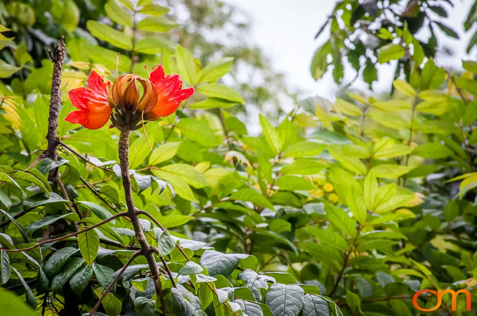 Puerto Rico: History and Biodiversity