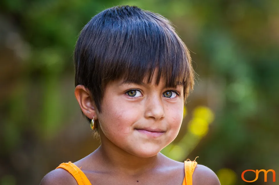 Roma Communities in Macedonia, 2006
