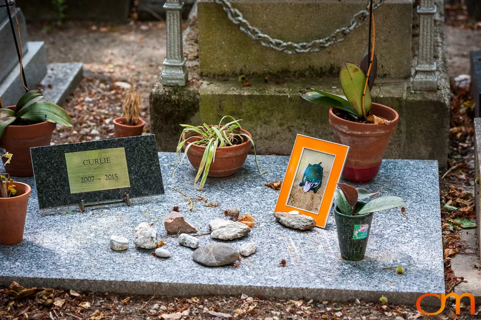 Cimetière des Chiens: The Pet Cemetery of Asnières-sur-Seine
