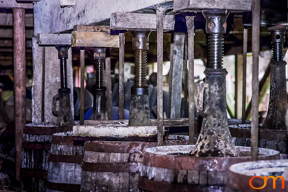 Perique Tobacco: Pressure Fermentation in Louisiana