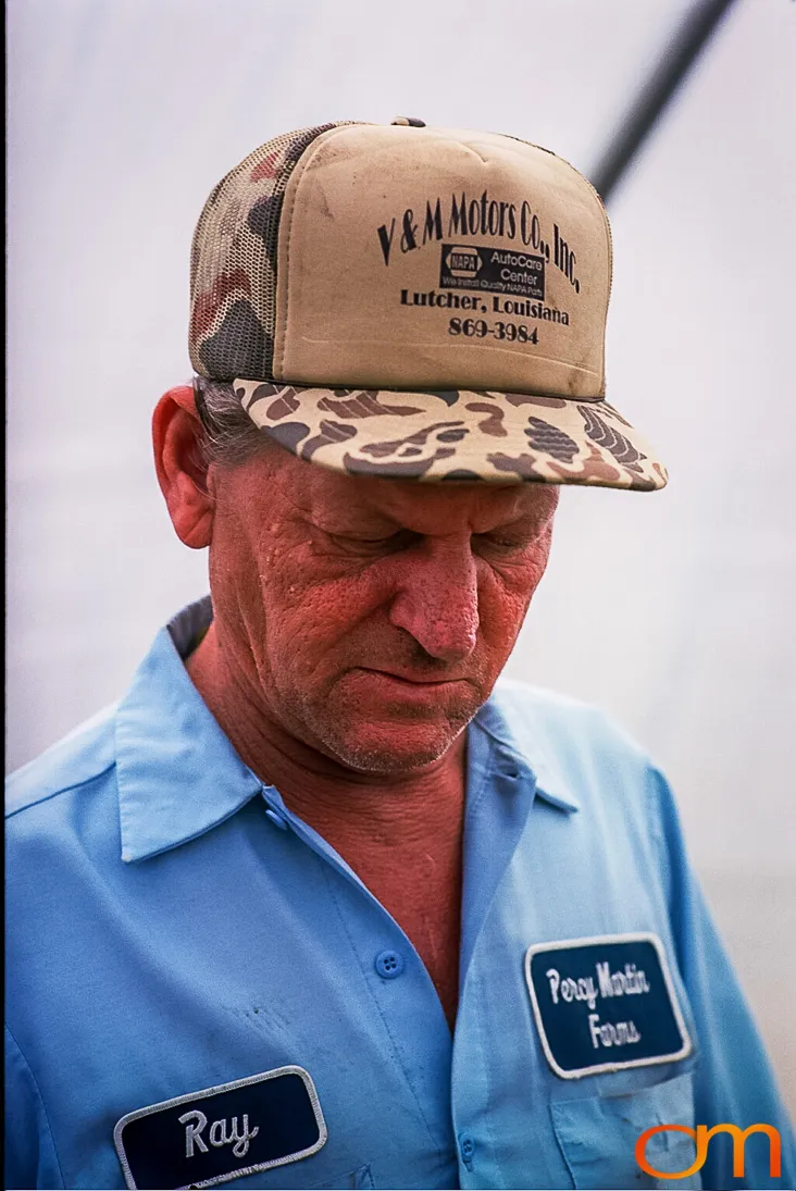 Perique Tobacco: Pressure Fermentation in Louisiana