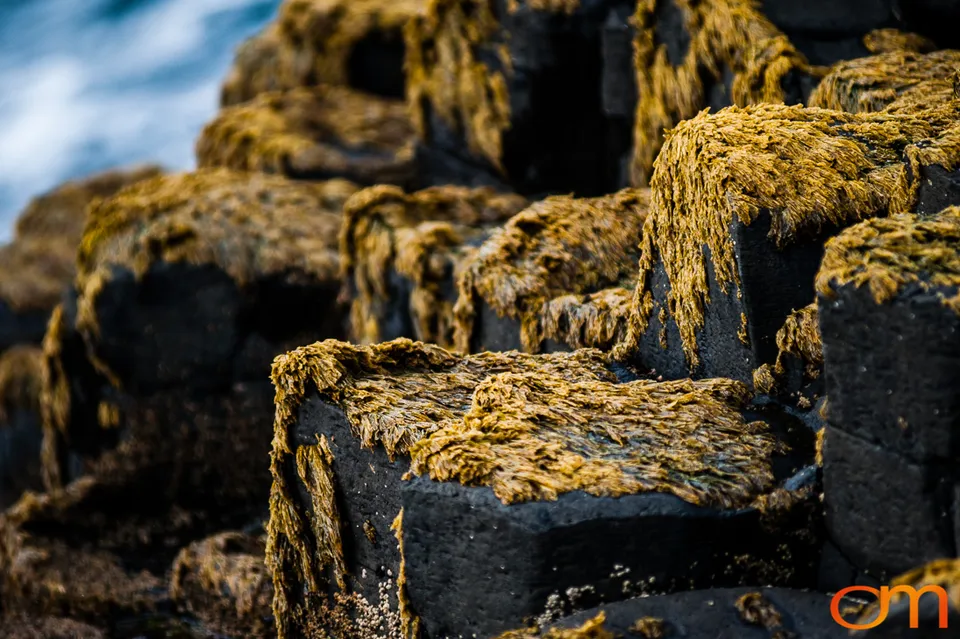 Giant’s Causeway and Causeway Coast