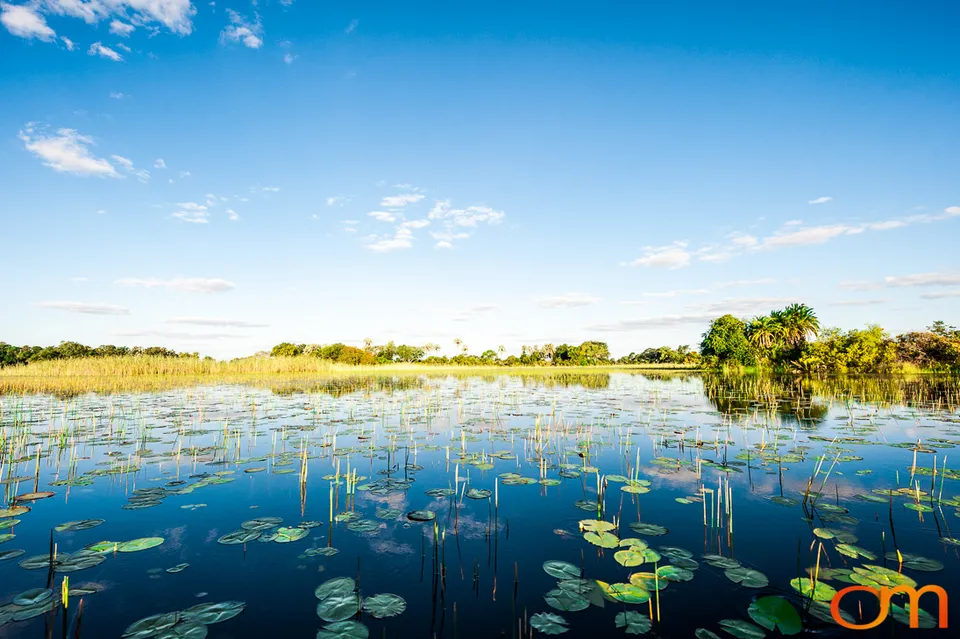 Okavango Delta, Botswana