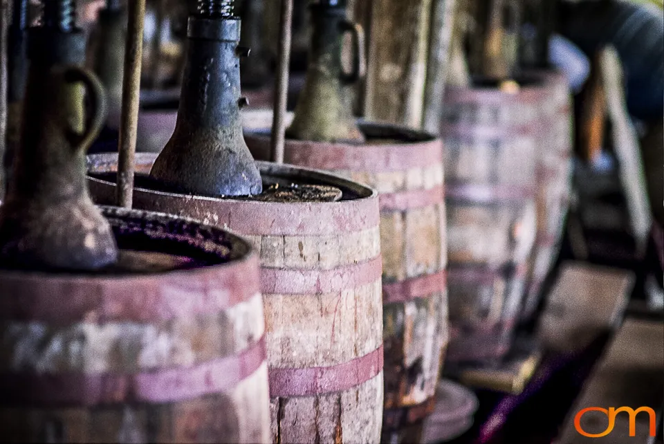 Perique Tobacco: Pressure Fermentation in Louisiana