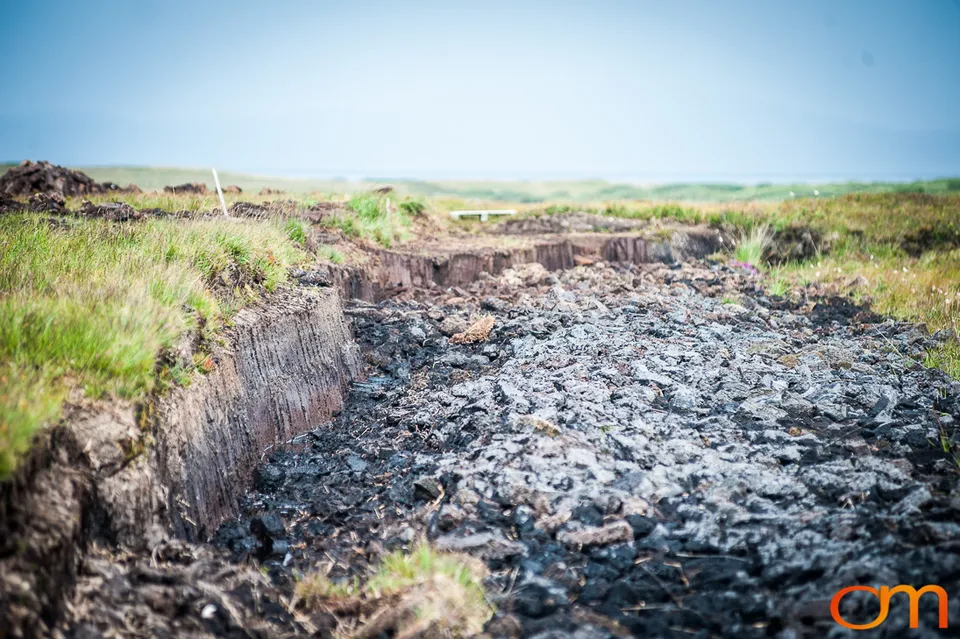 Islay Whisky: Peat and Distillation