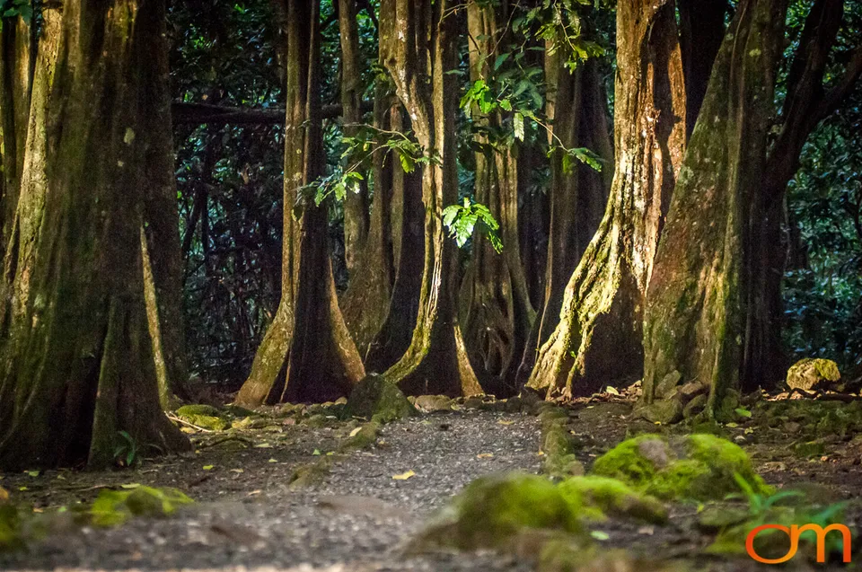 Moʻorea: Volcanic Peaks and Ancient Marae