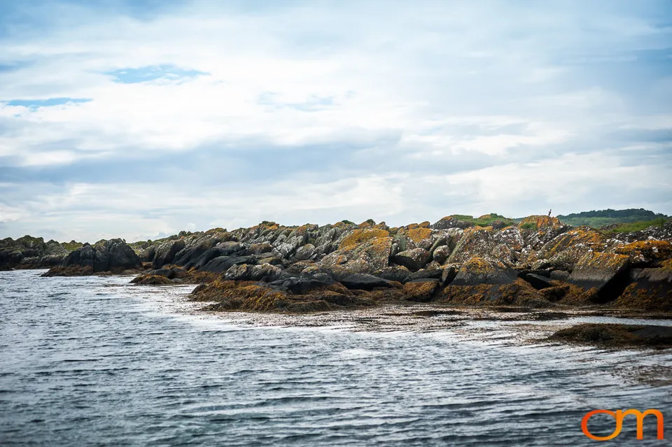 Great Islay Swim