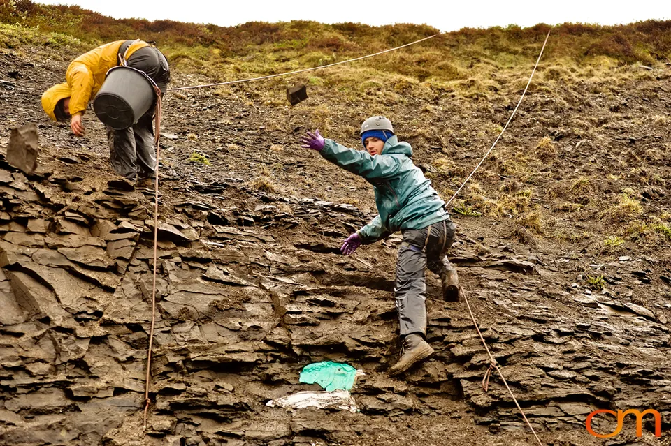 Pliocene Right Whale Fossil from Tjörnes, Iceland