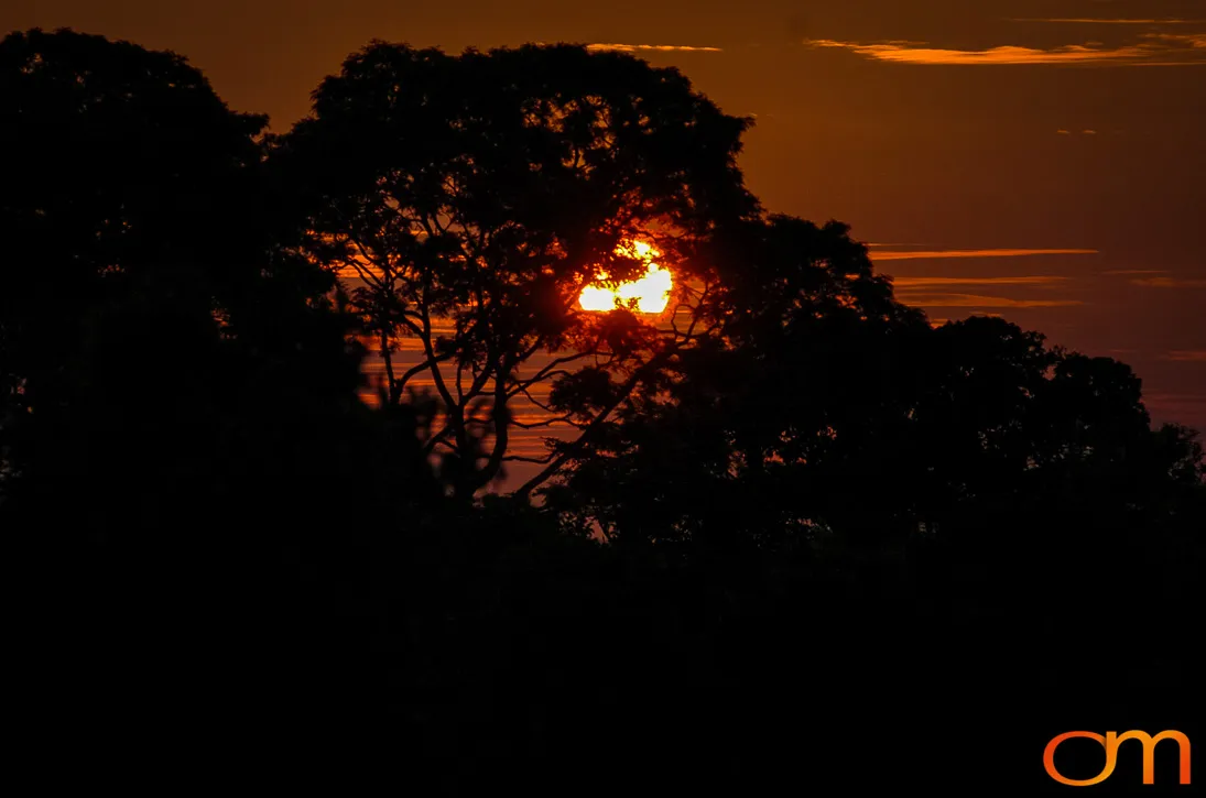The Peruvian Amazon