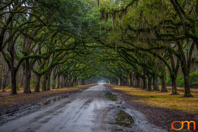 Savannah Georgia