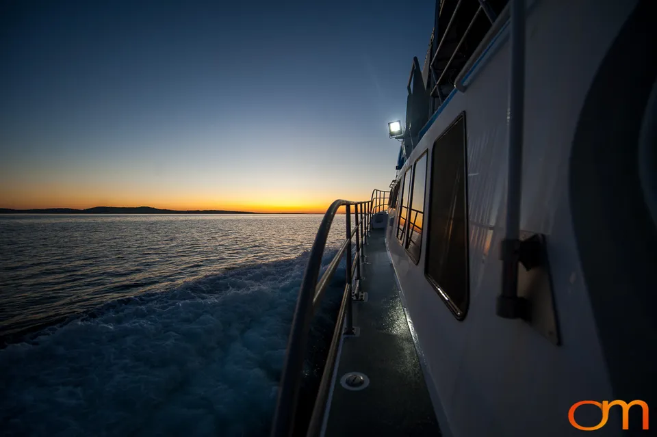 Port Lincoln and the White Sharks of the Neptune Islands