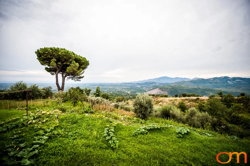 San Martino and the Roccamonfina Volcanic Landscape