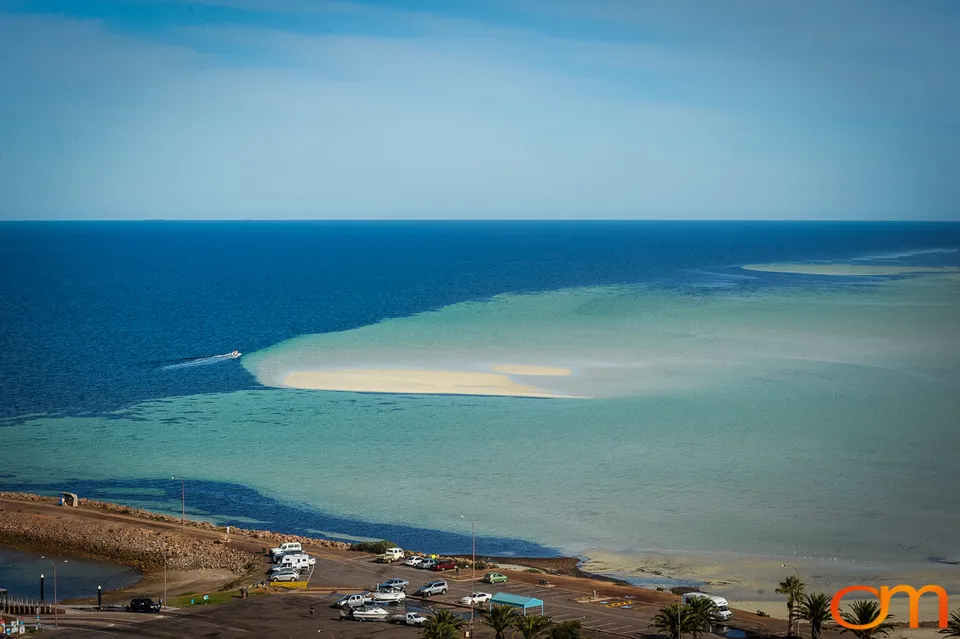 Port Lincoln and the White Sharks of the Neptune Islands