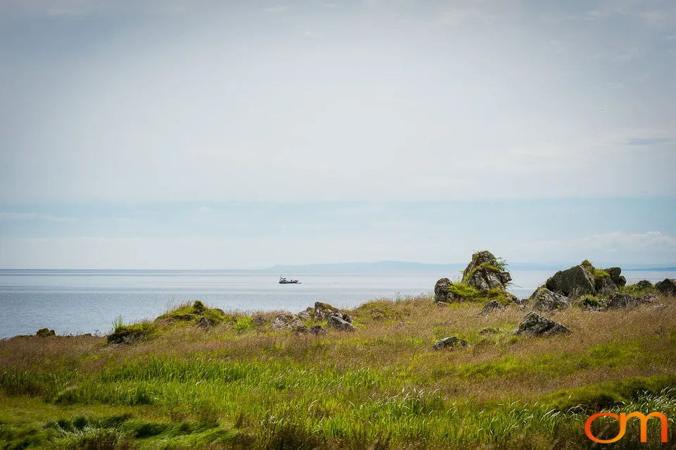 Great Islay Swim