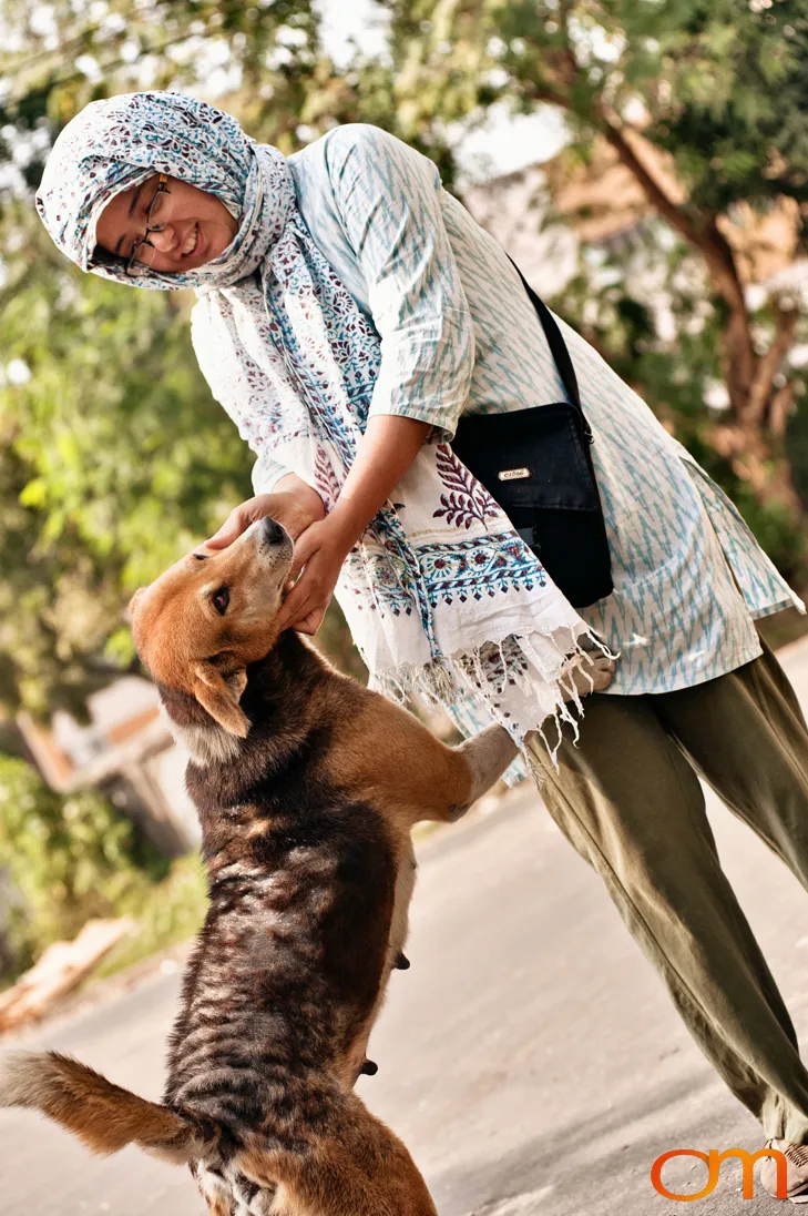 Kolkata Street Dogs: Community Care and the Indian Native Dog