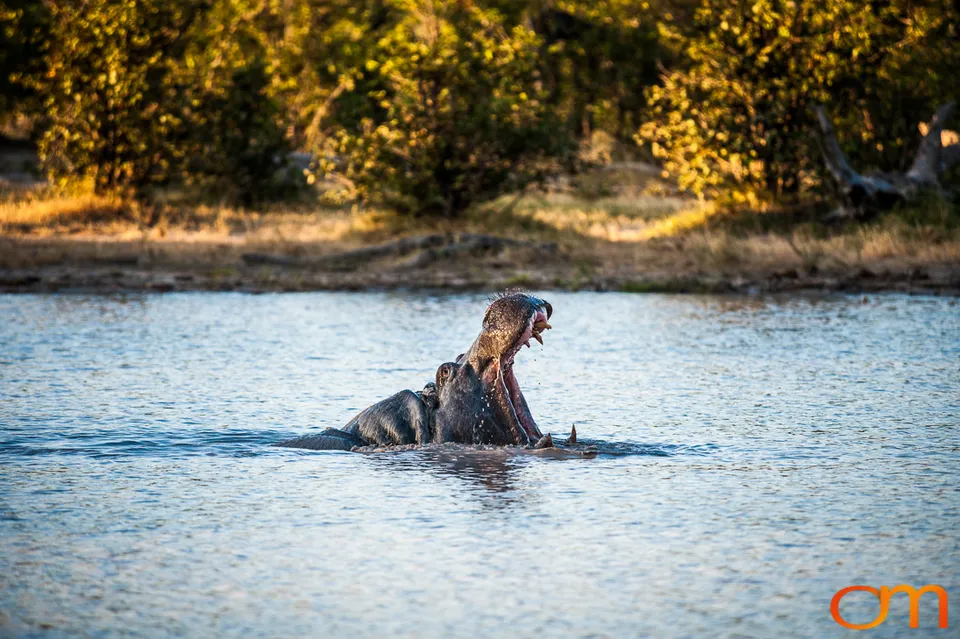Okavango Delta, Botswana