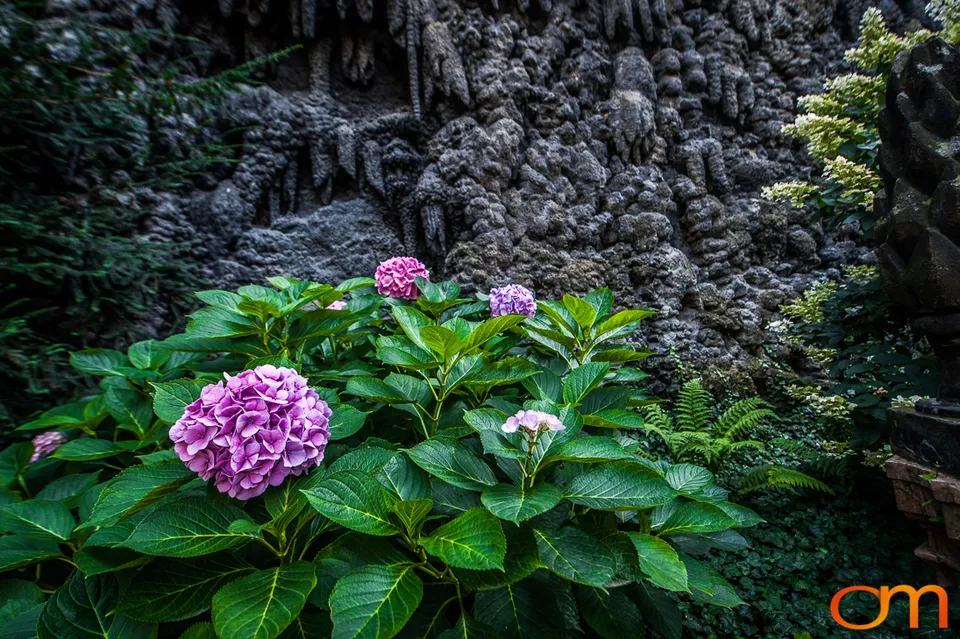 The Dripstone Wall in Prague’s Wallenstein Garden