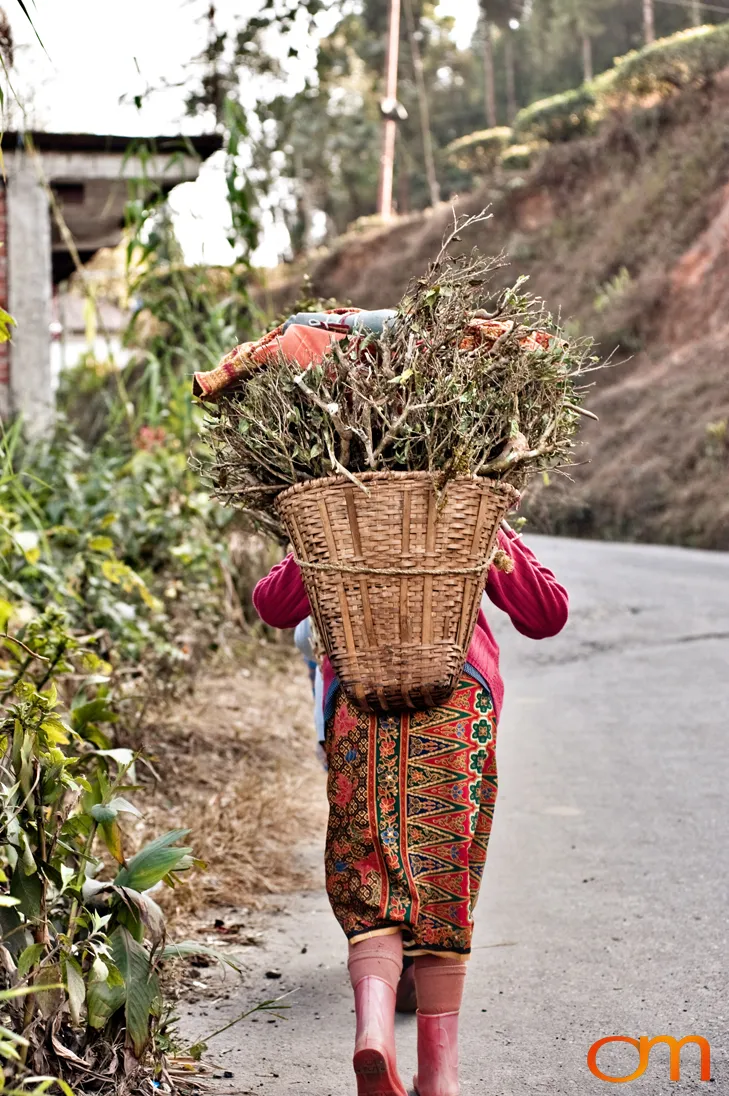 Mirik: Tea Gardens and Himalayan Community Life