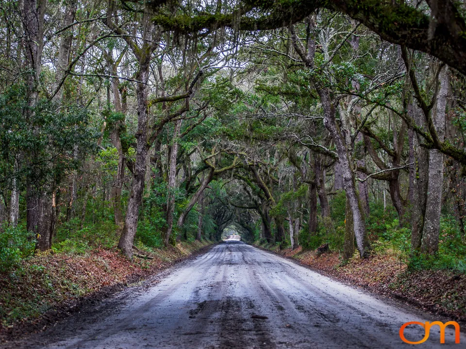 Botany Bay Plantation Heritage Preserve, Edisto Island
