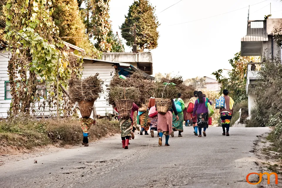 Mirik: Tea Gardens and Himalayan Community Life