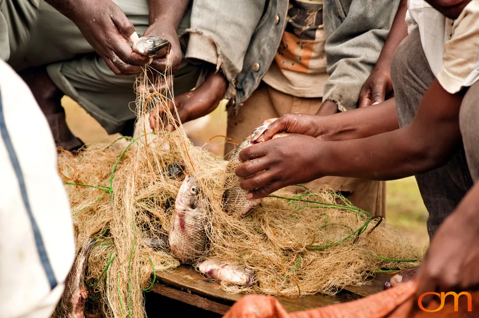 Awassa Fish Market