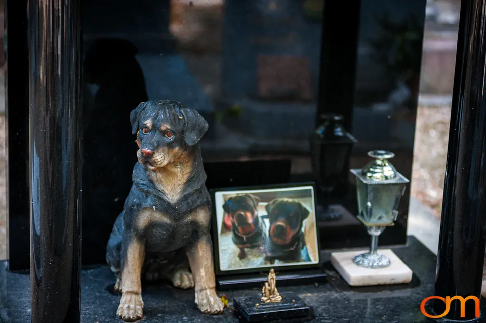 Cimetière des Chiens: The Pet Cemetery of Asnières-sur-Seine