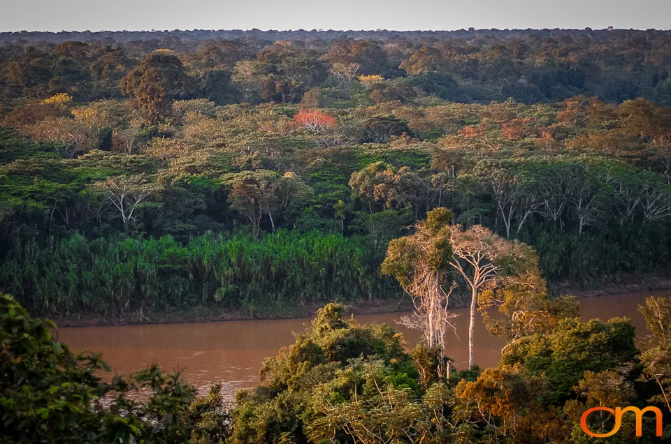 The Peruvian Amazon