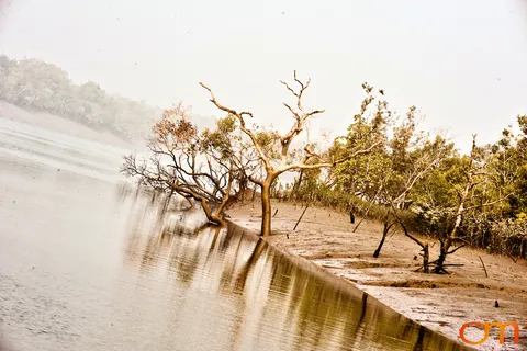 The Indian Sundarbans: Mangrove Forests and Tidal Islands