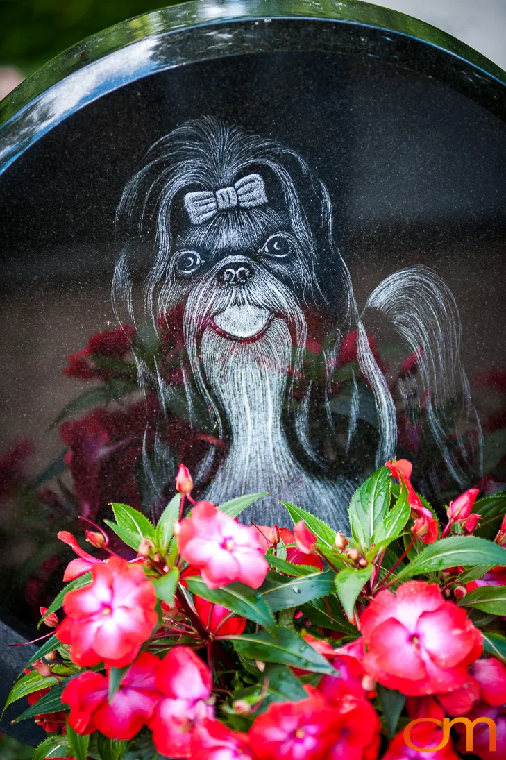 Cimetière des Chiens: The Pet Cemetery of Asnières-sur-Seine