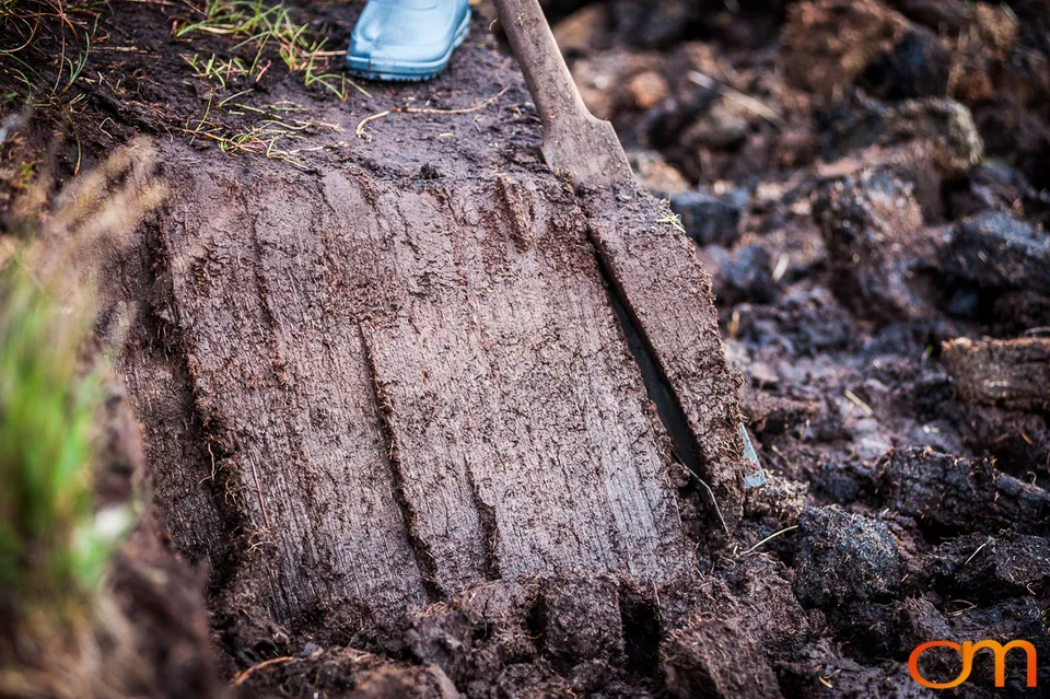 Islay Whisky: Peat and Distillation