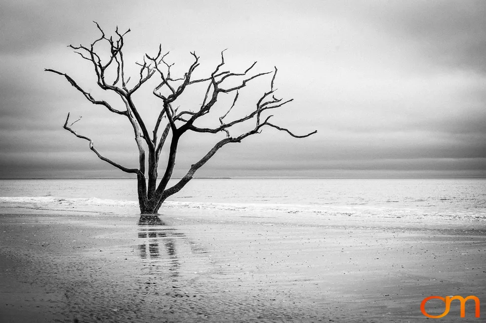 Botany Bay Plantation Heritage Preserve, Edisto Island