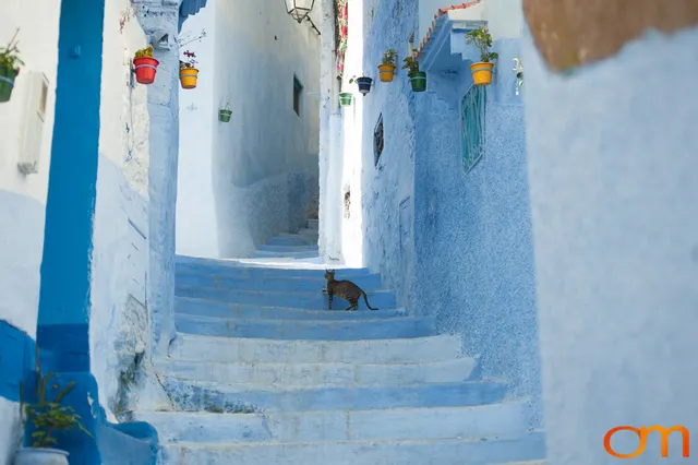 Chefchaouen: The Blue City
