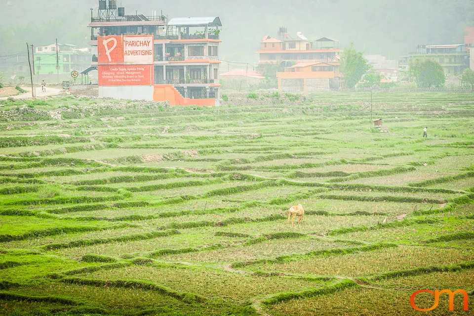 Phewa Lake and Tal Barahi Temple