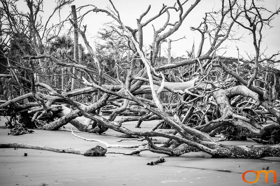 Hunting Island State Park and Lighthouse