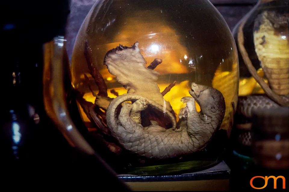 Rượu Thuốc: Medicinal Liquor in Vietnam