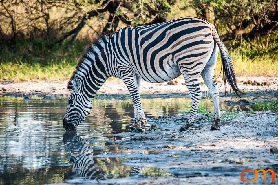 Okavango Delta, Botswana
