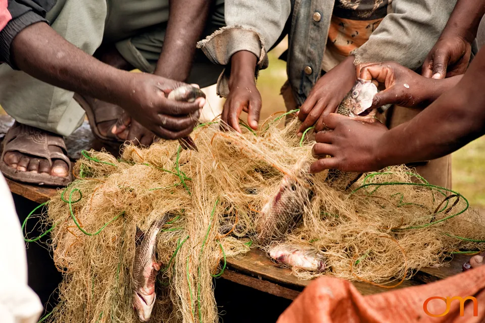 Awassa Fish Market